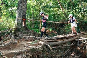 BIB: 
                            <button type="button" onclick="openModal(27554341)" class="btn btn-primary btn-sm float-right btn-popup" data-toggle="modal" data-target=".modal-high-quality">
                        <i class="fas fa-shopping-cart"></i> Add to Cart
                    </button>
                                            <button type="button" onclick="isThisMe(27554341, true)" class="btn btn-success btn-sm float-right btn-popup btn-isme hidden" data-toggle="tooltip" data-placement="bottom" title="นี่คือรูปของคุณใช่ไหม คลิกที่นี่เพื่อเอาเข้าอัลบั้ม">
                        <i class="fas fa-plus"></i> Add to album
                    </button>
                    <button type="button" onclick="isThisMe(27554341, false)" class="btn btn-warning btn-sm float-right btn-popup btn-isnotme hidden">
                        <i class="fas fa-ban"></i> Remove from album
                    </button>